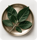 Leaves